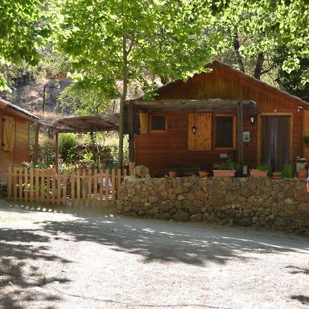 Cabanas Camping Sierra De Penascosa Esterno foto